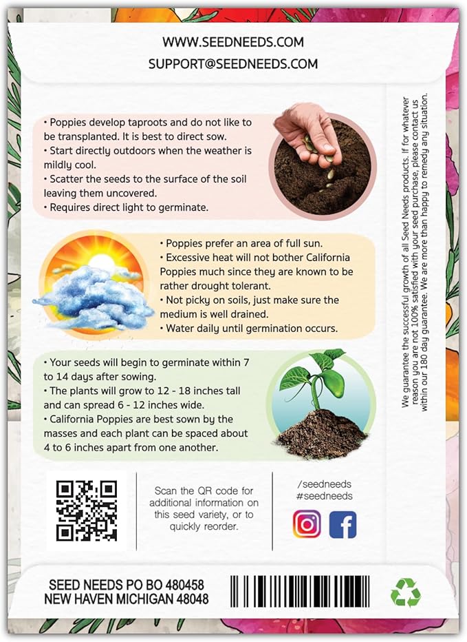 Seed Needs Mixed California Poppy Seeds for Planting - Heirloom & Open Pollinated Tender Perennial - Colorful Mixture of Flowers to Plant a Butterfly Garden (5 Packs)