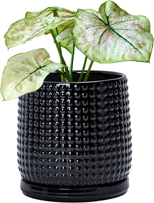 D'vine Dev 6 Inch Ceramic Beaded Stoneware Planter Pot - Flower Pot with Drainage Holes and Saucers for Indoor Succulent Plants or Flowers, Glossy Black, 27-C-X-2