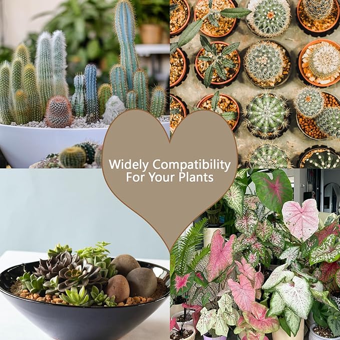 5LBS Soft Golden Maifanitum Stones, Succulent Cactus Decorative Rocks, Indoor Plants Top Dressing Soil, Horticultural Gravel DIY Potting Rocks for Bonsai Fairy Gardening Vases Fillers Terrarium