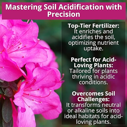 8-4-8 Acidic Fertilizer for Azaleas, Camellias (Camelia), Hydrangeas, Blueberries, Gardenias, Magnolia Trees, Evergreens, and Rhododendrons - Ideal Iron-Rich Plant Food (1 Quart)