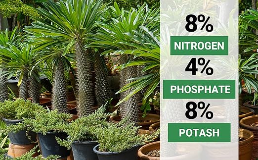 8-4-8 Professional Palm Tree Fertilizer Plant Food; for Indoor Potted Plants and Outdoor Landscape Palm Trees; Quick-Release Nitrogen Fertilizer and Continuous Feeding (4 QUARTS)