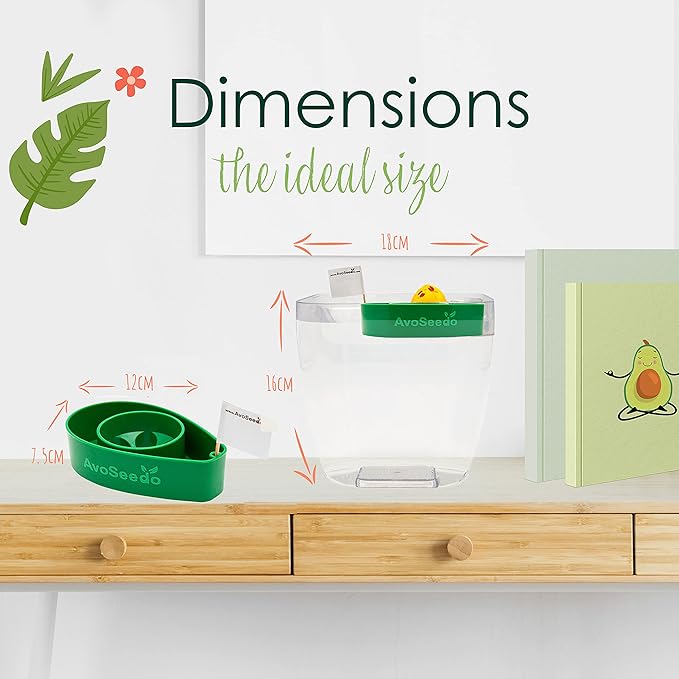 Avocado Growing Kit - Indoor Gardening Gift for Growing Avocado Trees from Pits