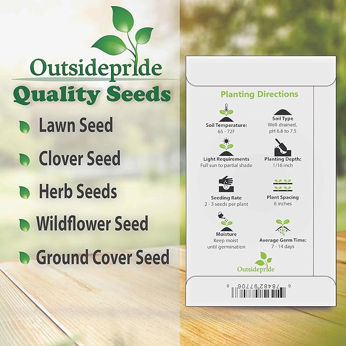 Outsidepride 2000 Seeds Annual Nigella Indigo Blue Love-in-a-Mist Flower Seeds for Planting