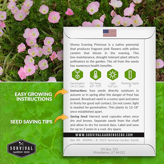 Showy Evening Primrose Seed for Planting - 3 Packets with Instructions to Plant and Grow Pinkladies in Your Home Flower Garden - Non-GMO Heirloom Variety - Survival Garden Seeds - Mexican Primrose