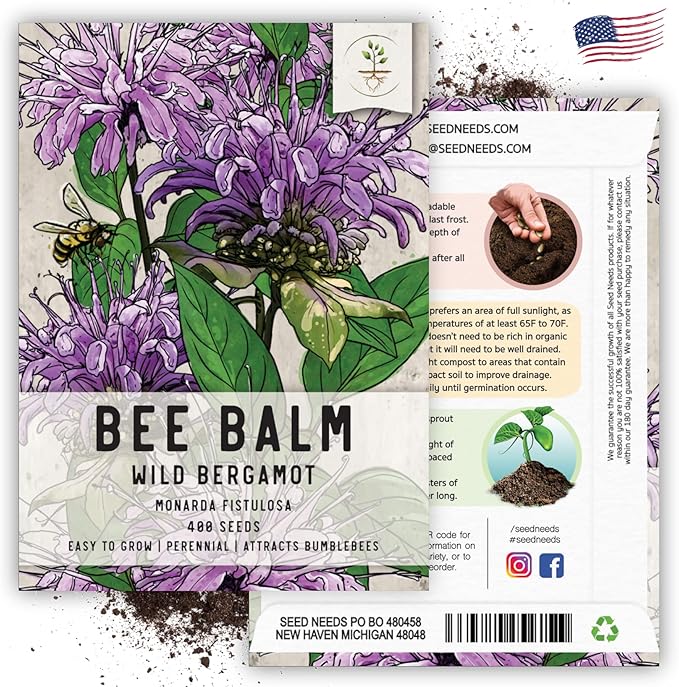 Seed Needs, Wild Bergamot Bee Balm Seeds - 400 Heirloom Seeds for Planting Monarda fistulosa - Attracts Honeybees, Bumblebees, Butterflies & Other Pollinators (5 Packs)