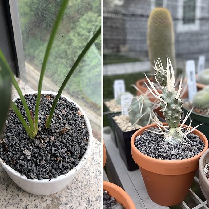 7LB Black Horticultural Lava Rock Soil for Decorative Landscaping Bonsai, Cacti, Succulents Plants Top Dressing for Release Excess Water