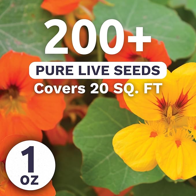 Nasturtium Jewel Mix - Large 1 Ounce Packet - 200 Flower Seeds for Planting - Tropaeolum majus