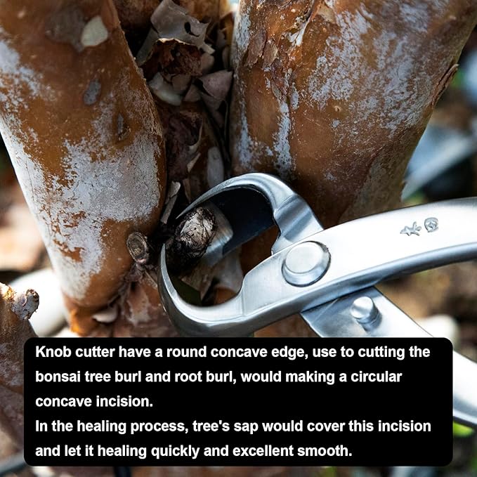 Bonsai Knob Cutter Round Edge Cutter Professional Grade Branch Cutter Alloy Steel Bonsai Tools Equip With Tool Bag (MT-KC-290)