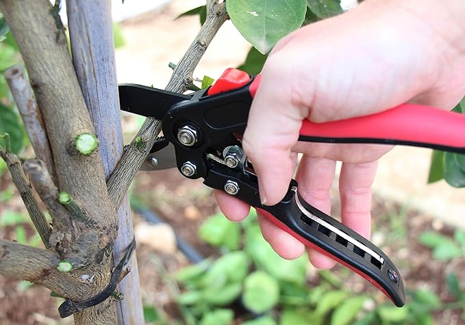 TABOR TOOLS S852A Anvil Hand Pruner with Compound Action, Makes Clean Cuts. Professional Sharp Secateurs, Pruning Shears, Garden Shears, Clippers for the Garden.