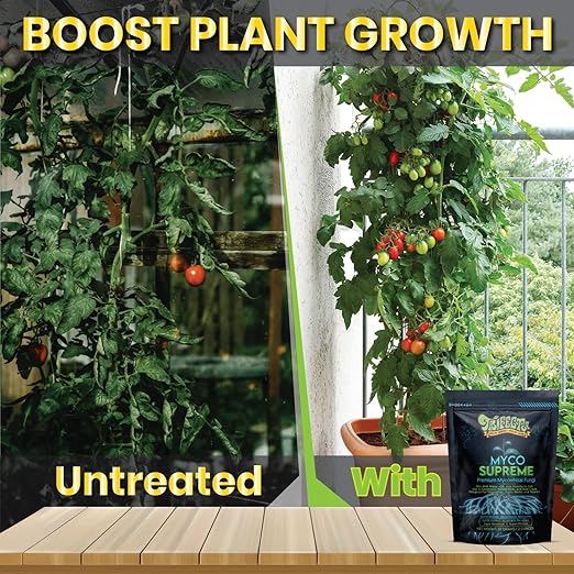 Mycorrhizal Fungi for Soil, Root Stimulator for Plants, Ultra Concentrated Mycorrhizae for Plants Strong Roots & Living Soil, Trifecta Myco Supreme Plant Root Stimulator for Tree, Rose and Flower Care