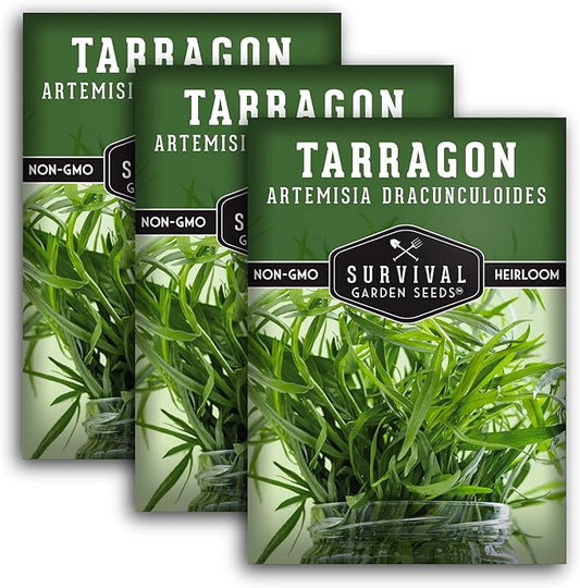Survival Garden Seeds - Russian Tarragon Seed for Planting - 3 Packs with Instructions to Plant & Grow Big Flowering Herbs in Your Home Vegetable Garden - Non-GMO Heirloom Variety Herb Seed Planting