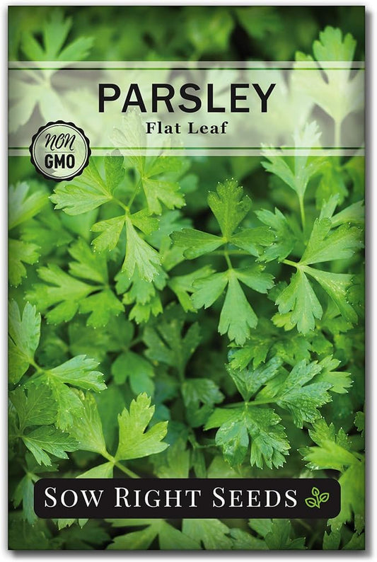 Sow Right Seeds - Flat Leaf Parsley Seed for Planting - Non-GMO Heirloom Packet with Instructions to Plant and Grow a Kitchen Herb Garden - Indoor or Outdoor - Great for Hydroponics Growing (1)