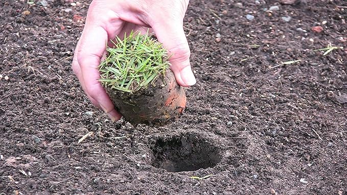 5-in-1 Lawn and Garden Tool, Bulb Planter, Weeder or Weeding Tool, Sod Plugger, Annual Planter, Soil Test Probe