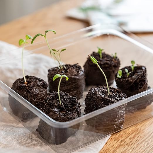 Coco Coir Seed Starter Pellets: 125 Coconut Coir Plugs for Growing Plants – Peat Free Seedling Soil – Seed Starter Kit with Potting Soil Pellets – 125 Starter Plugs – Gardening Supplies from OwnGrown