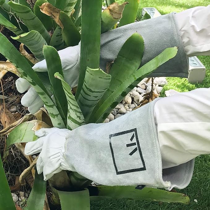 Rose Pruning Gloves Gauntlet Garden Gloves Leather Long Gardening Gloves for Women Rose Gloves Cut Proof Work Gloves White Garden Gloves for Rose Gardening Gloves Rose Bushes Ready to Plant Cowhide S