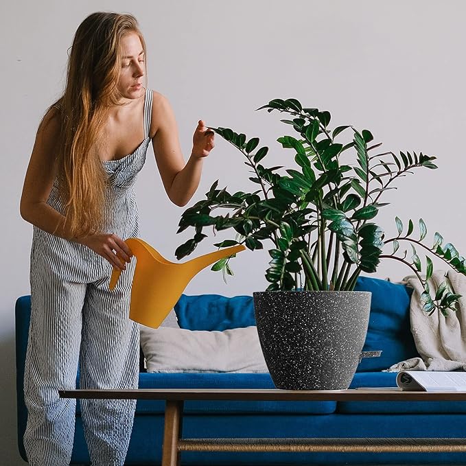 WOUSIWER 10 inch Self Watering Planters, 2 Pack Large Plastic Plant Pots with Deep Reservior and High Drainage Holes for Indoor Outdoor Plants and Flowers, Speckled Black