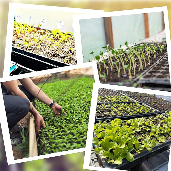 200 Cell Seed Starter Trays with Dibber – 20 Pack Reusable Seedling Trays for Germination Propagation, 200 Hole Soil Digger for Quickly Setting Out, Gift for Gardener