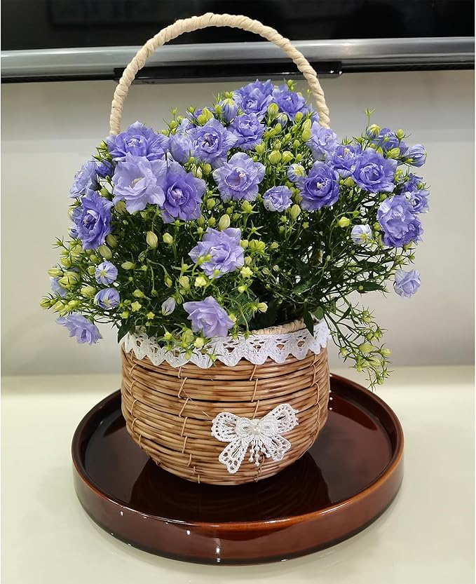 Ceramic Plant Saucer 9 Inch, Round Plant Trays for Indoors/Outdoors, Flower Pot Saucers for Holding Water Drips and Soil, Ceramic Drainage Tray for Plant Pot (Brown)