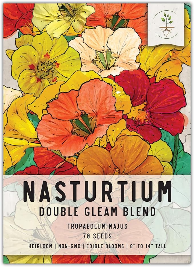 Seed Needs Double Gleam Nasturtium Seeds - 70 Heirloom Seeds for Planting Tropaeolum majus - Edible Flowers to Add to Salads, Grow in a Butterfly Garden to Attract Poillinators (1 Pack)