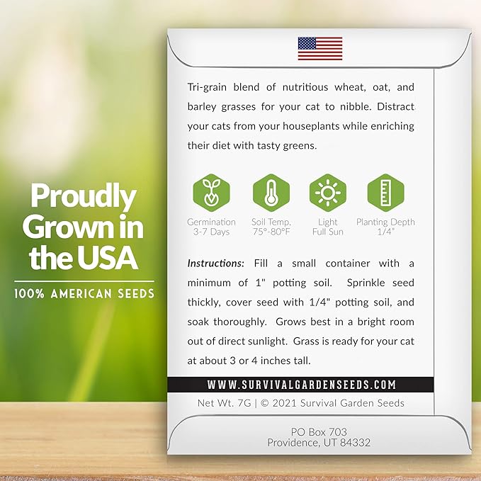 Cat Grass Seed for Planting - 5 Packets with Instructions to Plant & Grow Greens for Your Pet Indoors or Outdoors in a Container or Garden - Non-GMO Heirloom Variety - Survival Garden Seeds