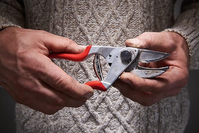 Felco Pruning Shears (F 32) - High Performance Swiss-Made One-Hand Garden Pruners