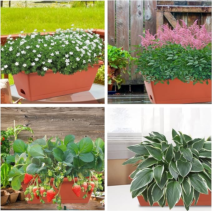 8pcs Window Box Planter,17 Inches Flower Window Boxes, Rectangle Planters Box with Drainage Holes and Trays, Plastic Vegetable Planters for Windowsill Patio Garden Home Decor Porch Yard (Red)