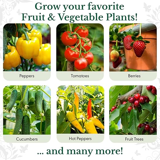 HydraVeggies Tomato & Vegetable Garden Fertilizer - with Sea Kelp to Stimulate Root & Fruit Growth - All Purpose Liquid Plant Food Nutrient For Indoor and Outdoor Gardens & Hydroponics NPK 2-6-4 16 oz