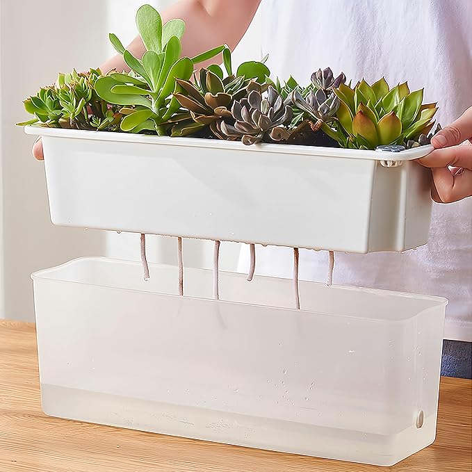 FAMZ Self Watering Pots 3 Pack,Transparent Rectangular Planting Pots, Self Watering Pots for Indoor Plants, Suitable for Growing African Violets, Fruits, Vegetables, Flowers, Plant Pots,Herb Planter