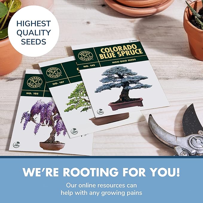 Bonsai Tree Kit - Grow 3 Mini Bonsai Trees, Indoor Plant Growing Kit - Bonsai Starter Kit with Bonsai Seeds, Soil, Planters & Shears, Gardening Gifts for Women, Fathers Day Gardening Gifts