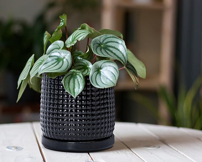 D'vine Dev 6 Inch 4 Inch Ceramic Indoor Planter Pots with Drainage Hole and Saucer, Beaded Design Flower Pots, Set of 2, Gloss Black, 27-D-U-2