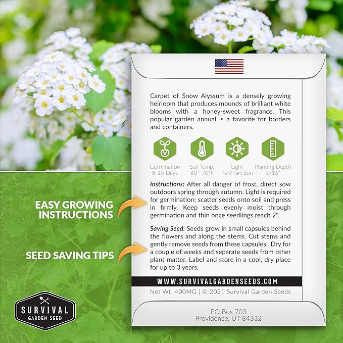 3 Packs Carpet of Snow Alyssum Seed for Planting with Instructions to Grow Lobularia maritima in Your Home Flower or Vegetable Garden - Non-GMO Heirloom - Survival Garden Seeds