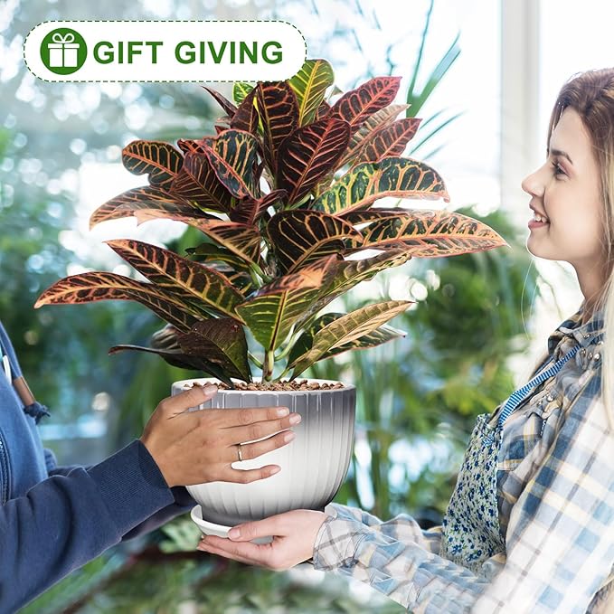 6.7 + 5.5 Inch Plant Pot, Ceramic Planter with Drainage and Saucer, Ceramic Pots for Plants, Indoor Plant pots,Ceramic Flower pots（Gray + White, Plants NOT Included）