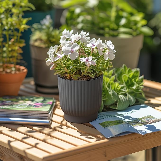 T4U African Violet Pots, 4 Inch Self Watering Pots for Indoor Plants, 6 Pack Small Planters, Durable Charcoal Gray Plastic Small Pots for Indoor Plants, Flower