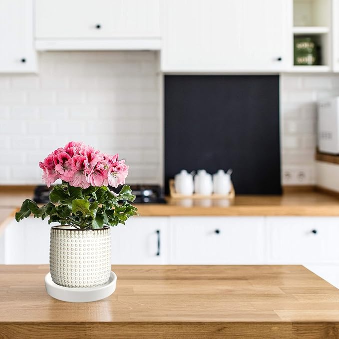 Ceramic Plant Saucer Pot Tray 2 Pack 4.7 6 7 8 9 10 12 13 15 inch White, Planter Water Drip Trays for Plant Saucers Indoors, Thick Durable Sturdy Flower Pot Saucers for Glazing Pots Base