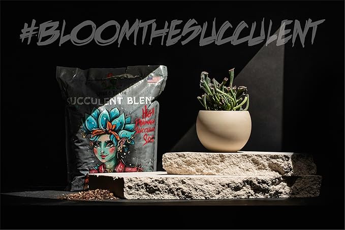 High Drainage Succulent Soil Potting Mix with Coffee Compost & Mycorrhizhal Fungi - 4 Dry Quarts - Slighly Acidic, Gritty Soil for Edgy Plants - Spike & Bloom