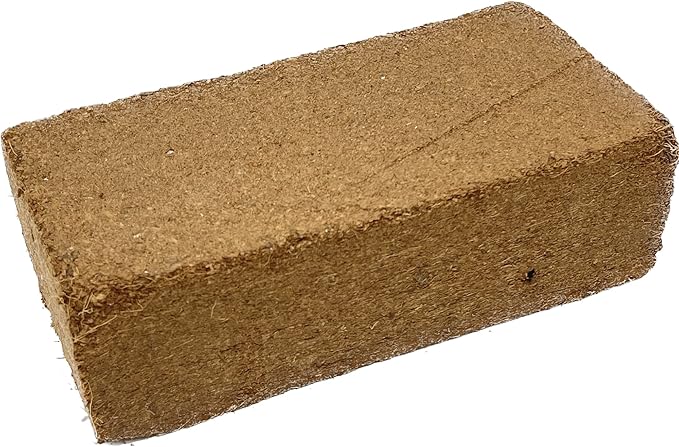 Seed Needs, Basil Seed Packet Collection Seed Starting Bundle (Includes 8 Individual Seed Packets, 36 Starter Pots & 1 Expandable Coco Coir Brick) Heirloom, Non-GMO & Untreated