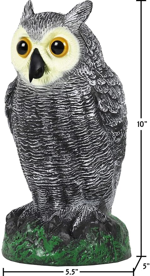 Galashield Owl Decoy to Scare Birds Away | Plastic Owls to Scare Birds Away | Owl Statue for Garden & Outdoors