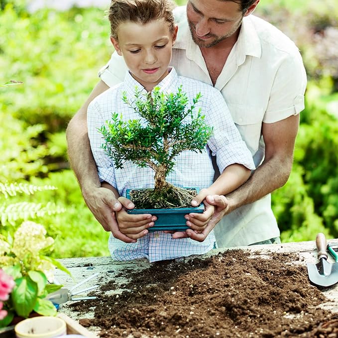 Bonsai Soil Mix 10qt Ready to Use, Organic Bonsai Tree Soil Fits for Small Bonsai Pot, Suitable for Bonsai Seedling, Repotting, or Bonsai Starter Kit