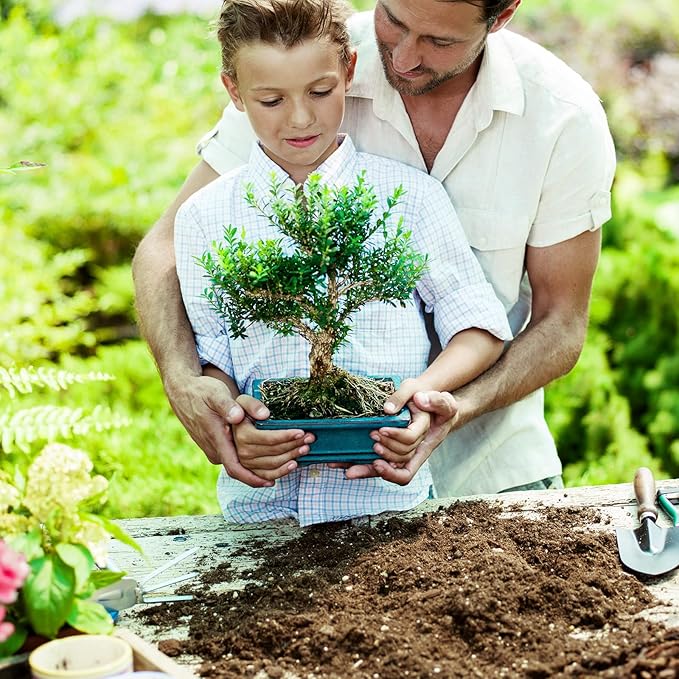 Bonsai Soil Mix 4qt Ready to Use, Organic Bonsai Tree Soil Fits for Small Bonsai Pot, Suitable for Bonsai Seedling, Repotting, or Bonsai Starter Kit