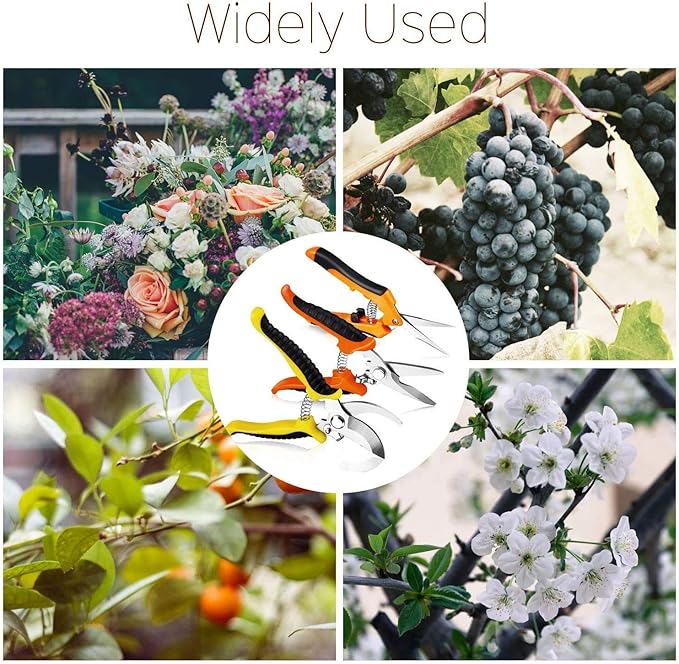 AUGEN Garden Pruning Shears Set, Stainless Steel Heavy Duty Gardening Tool Kit For Cutting Flowers, Trimmig Plants, Gardening Scissors For Plant (Pack of 3)