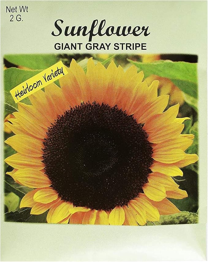 Set of Flower Seed Packets! Flower Seeds in Bulk - Great for Creating The Garden of Your Dreams! (200, Sunflower - Giant Gray Stripe)