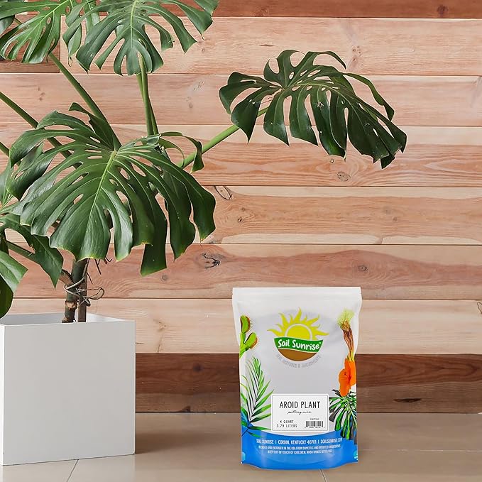 Aroid Plant Potting Soil Mix (4 Quarts), for Pothos Devil's Ivy, ZZ Plant, Chinese Evergreen, Dumb Cane, Philodendron, Syngonium, Alocasia, Colocasia Etc.