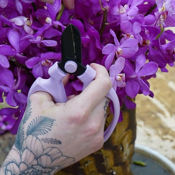 Flower or Garden Scissors with Black Carbon Steel Blades 6.7 Inch, Snapdragon (Lavender)