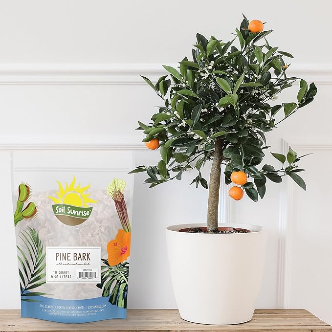 100% Natural Pine Bark Mulch Nuggets (10 Quarts), Small Mulch Chips for Indoor/Outdoor Container Gardening, Ideal for Soil Supplement, Houseplant Mulch, and Terrariums