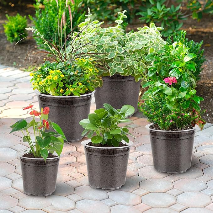 36 Packs Clear Nursery Pots for Plants, 3/3.5/4/5/6/7 Inch Plastic Pots for Plants with Drainage Holes, Variety Pack Nursery Pots for Plants, Flower, Herb, Bonsai, Succulent