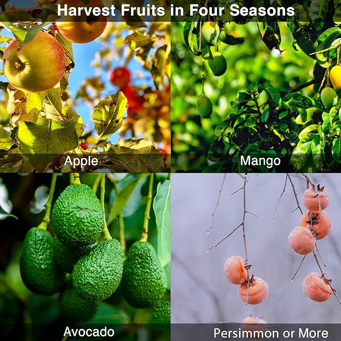 DonSail Fruit Picker Pole Tool with Basket Telescoping Long Handle, 35-65 Inch Adjustable Apple Orange Picker Pole Tool with Basket for Avocado Acorn Lemon Pear Mango Tree Picker