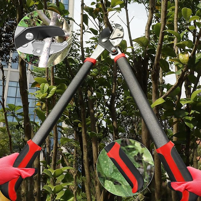 GARTOL Anvil Lopper with Compound Action Branch Cutter, 29.5 Inch Tree Trimmer with 2 Inch Clean Cut Capacity, Cut Through Thick Branches Easy