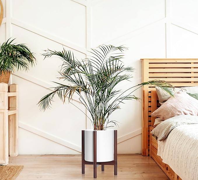 D'vine Dev Planter Pot with Stand - 12 Inch Plastic Cylinder Flower Pot with Wood Planter Holder for Indoor, Matte White Pot + Mahogany Stand, 55-C-O-1