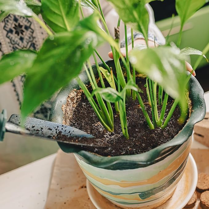 Organic Peace Lily Soil Mix 2qt, Indoor Plants Potting Mix for Planting, Growing, or Repotting Peace Lily Plants, Grow Healthy houseplants Indoors