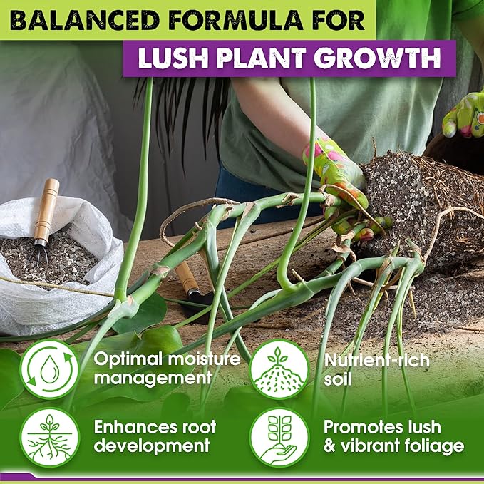 DUSPRO Recycle Pre-Mixed House Plant Potting Mix 7in1 with Potting Soil Indoor Plants, Tropical Indoor Potting Soil with Pine Bark, Pumice, Coco Coir, Perlite, Worm Castings, Gypsum, Peat Moss 1QRT